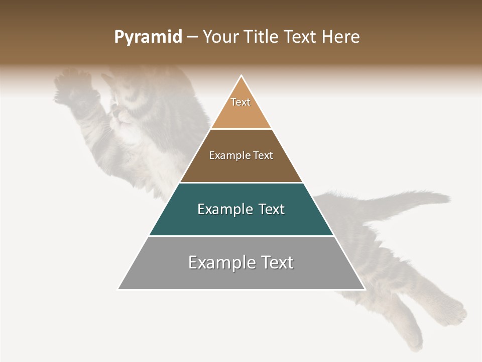 Coastal Beach Woman PowerPoint Template