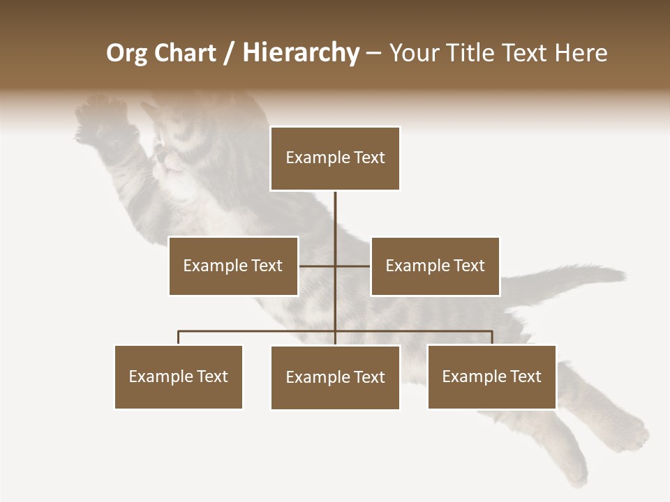 Coastal Beach Woman PowerPoint Template