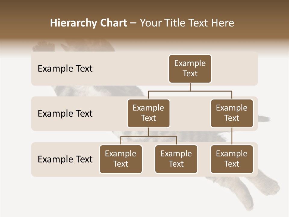 Coastal Beach Woman PowerPoint Template