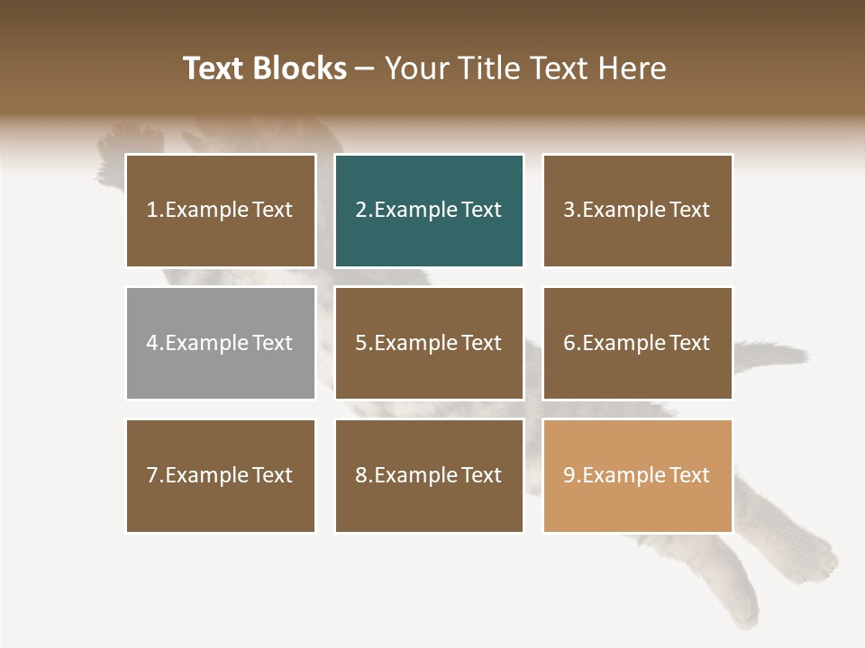 Coastal Beach Woman PowerPoint Template