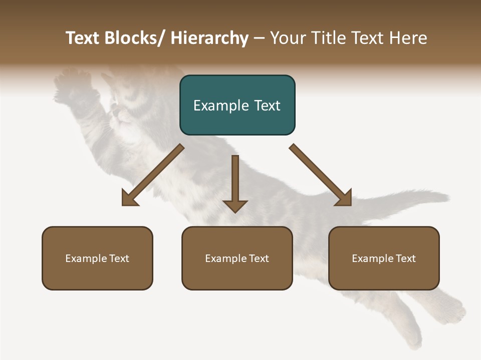 Coastal Beach Woman PowerPoint Template