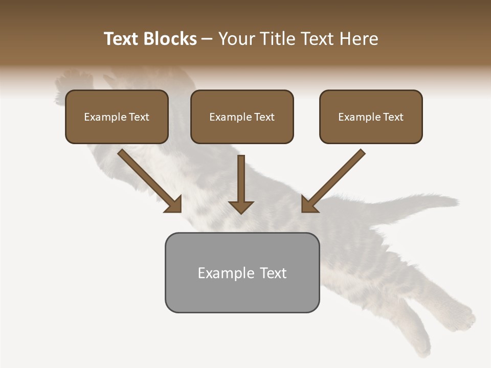 Coastal Beach Woman PowerPoint Template