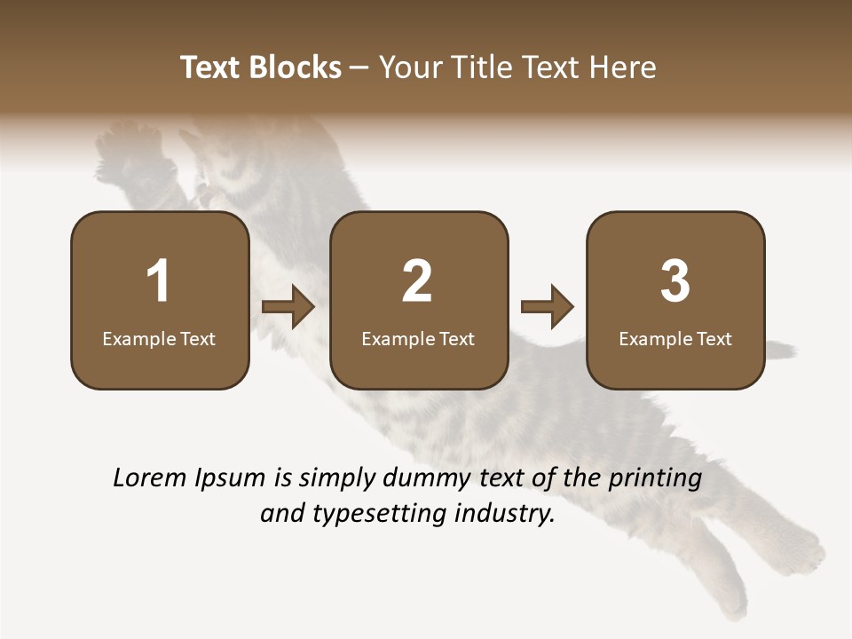 Coastal Beach Woman PowerPoint Template