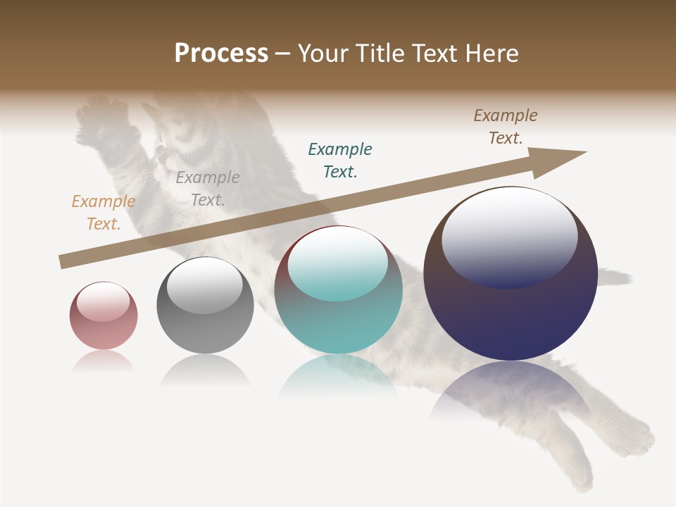 Coastal Beach Woman PowerPoint Template