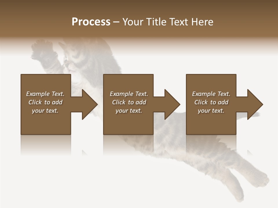 Coastal Beach Woman PowerPoint Template