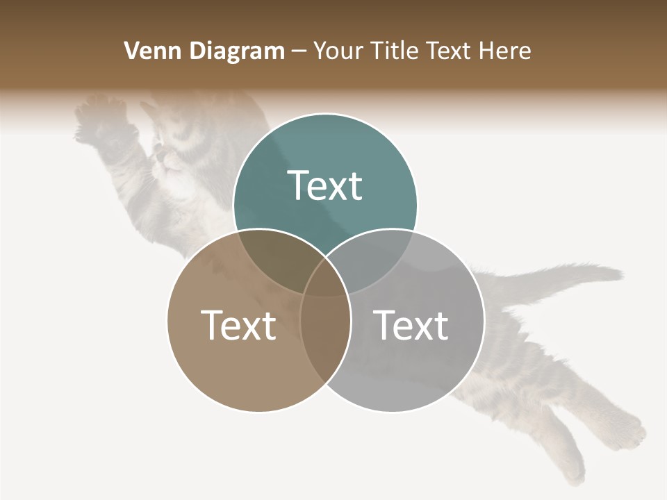 Coastal Beach Woman PowerPoint Template