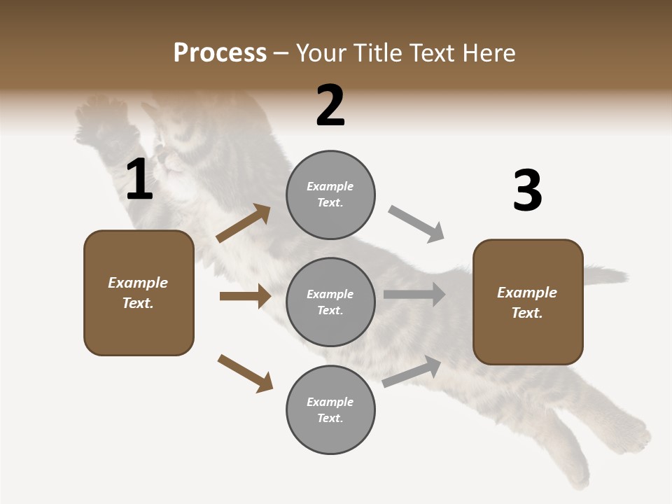 Coastal Beach Woman PowerPoint Template