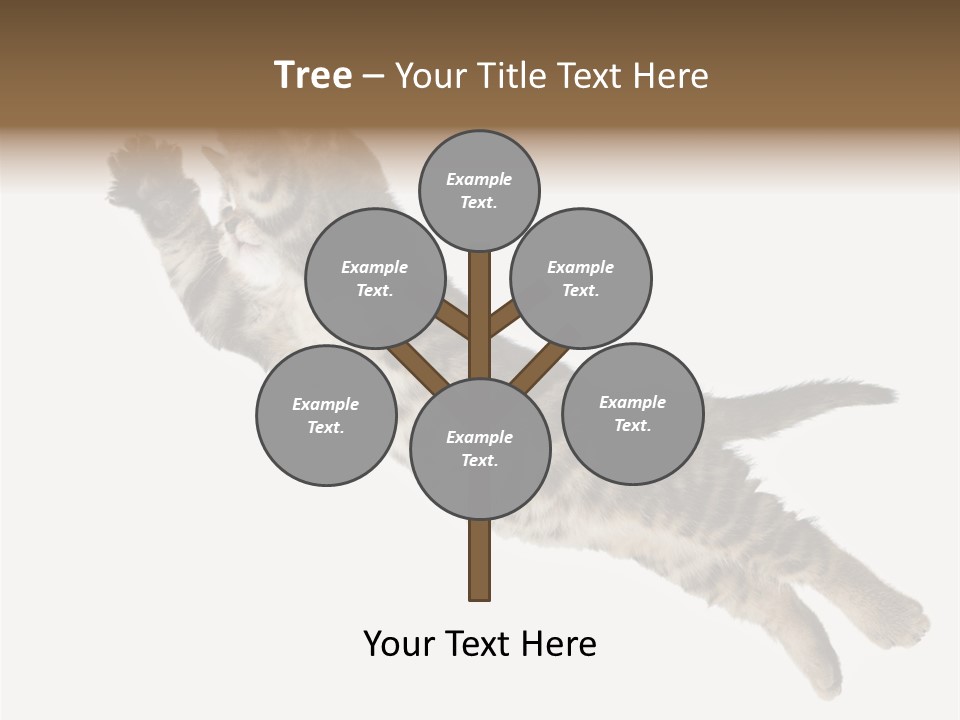 Coastal Beach Woman PowerPoint Template