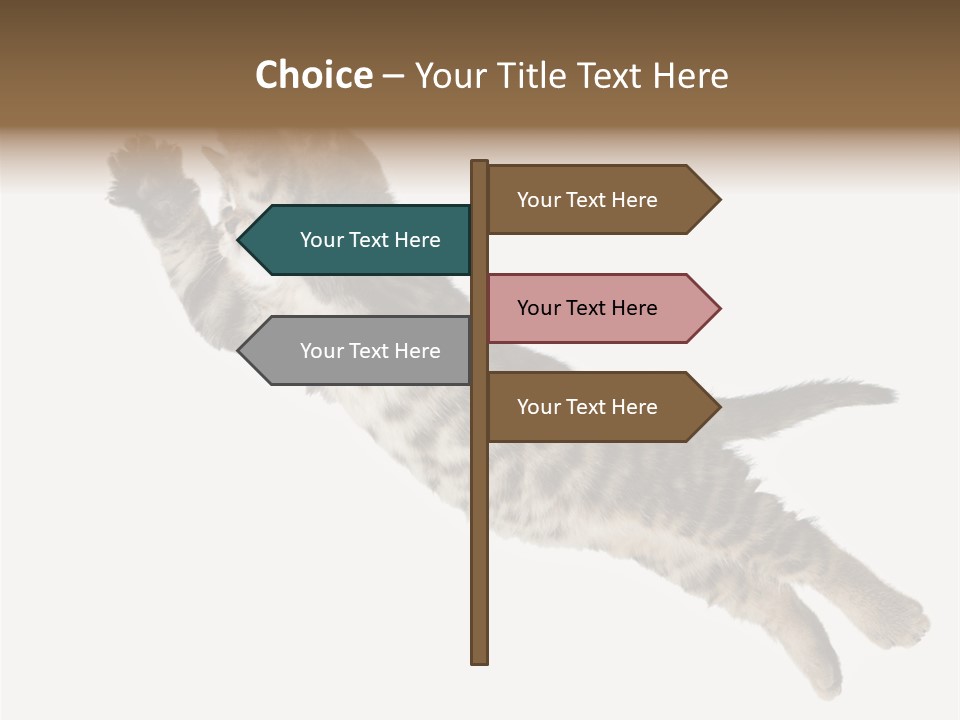 Coastal Beach Woman PowerPoint Template