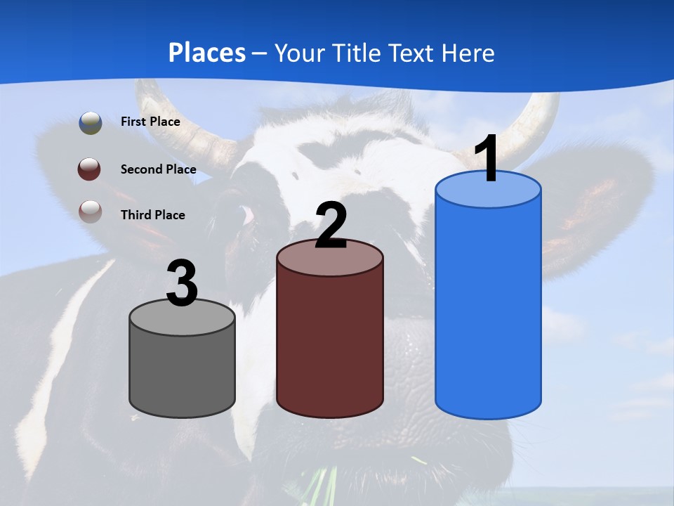 Sea Pensioner Woman PowerPoint Template