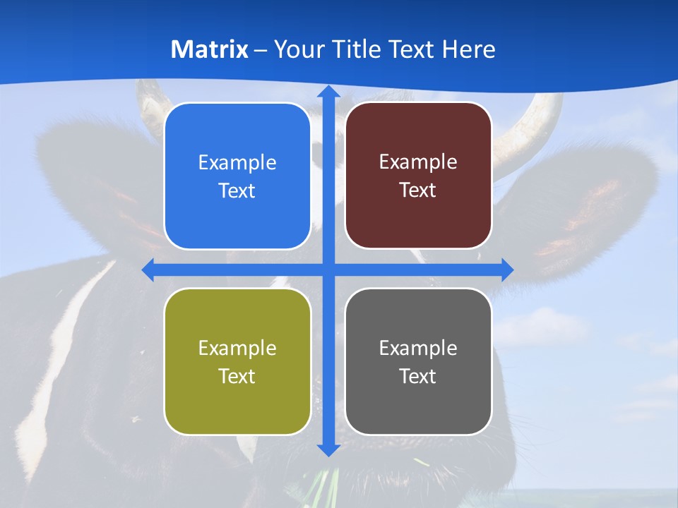 Sea Pensioner Woman PowerPoint Template