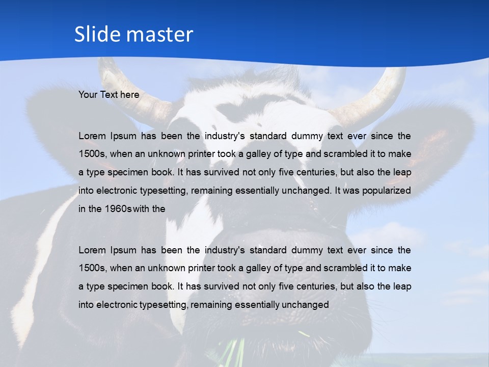 Sea Pensioner Woman PowerPoint Template