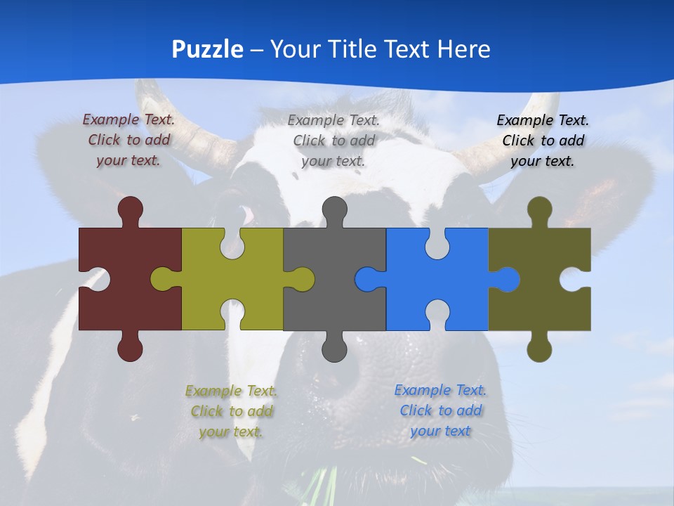 Sea Pensioner Woman PowerPoint Template