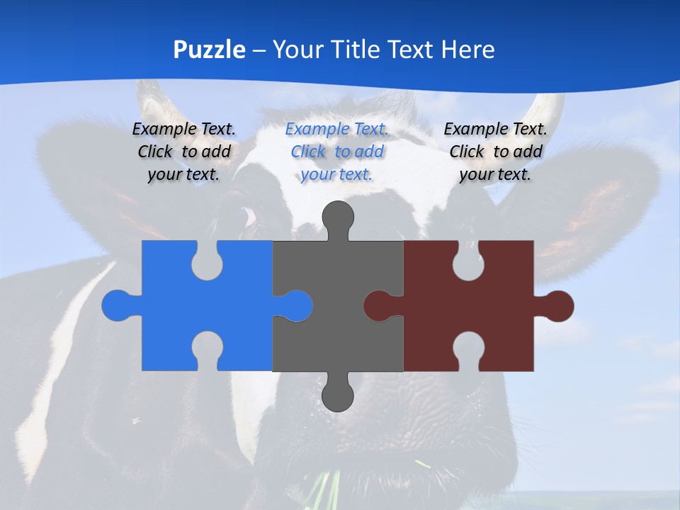 Sea Pensioner Woman PowerPoint Template