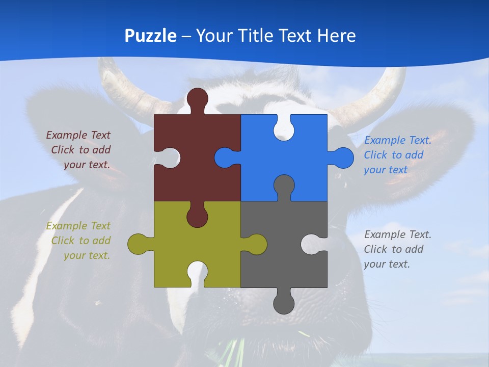 Sea Pensioner Woman PowerPoint Template