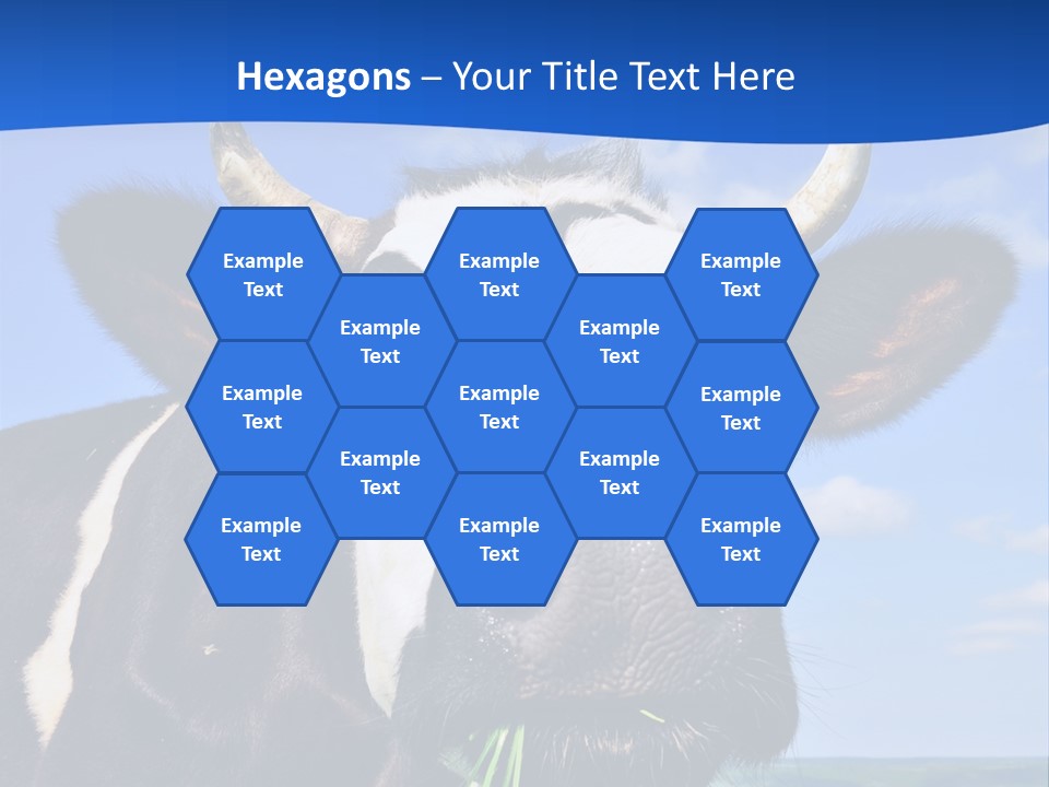 Sea Pensioner Woman PowerPoint Template