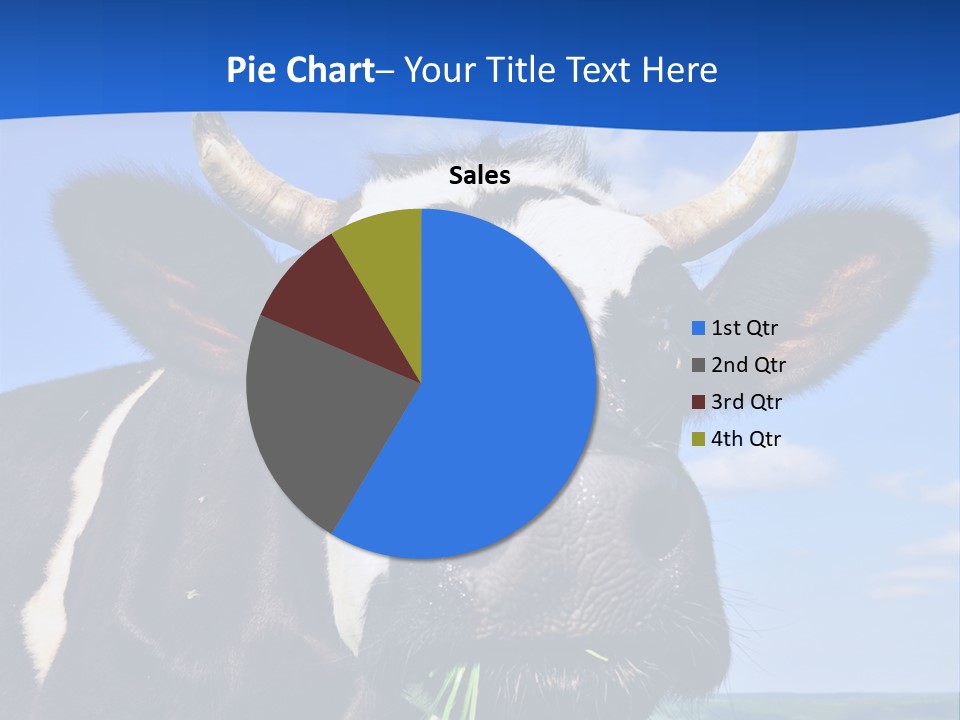 Sea Pensioner Woman PowerPoint Template