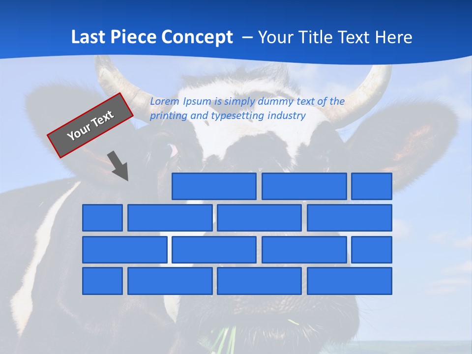 Sea Pensioner Woman PowerPoint Template