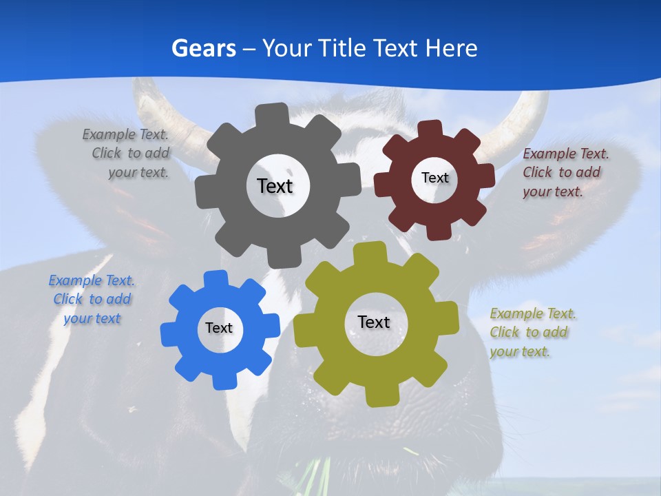 Sea Pensioner Woman PowerPoint Template