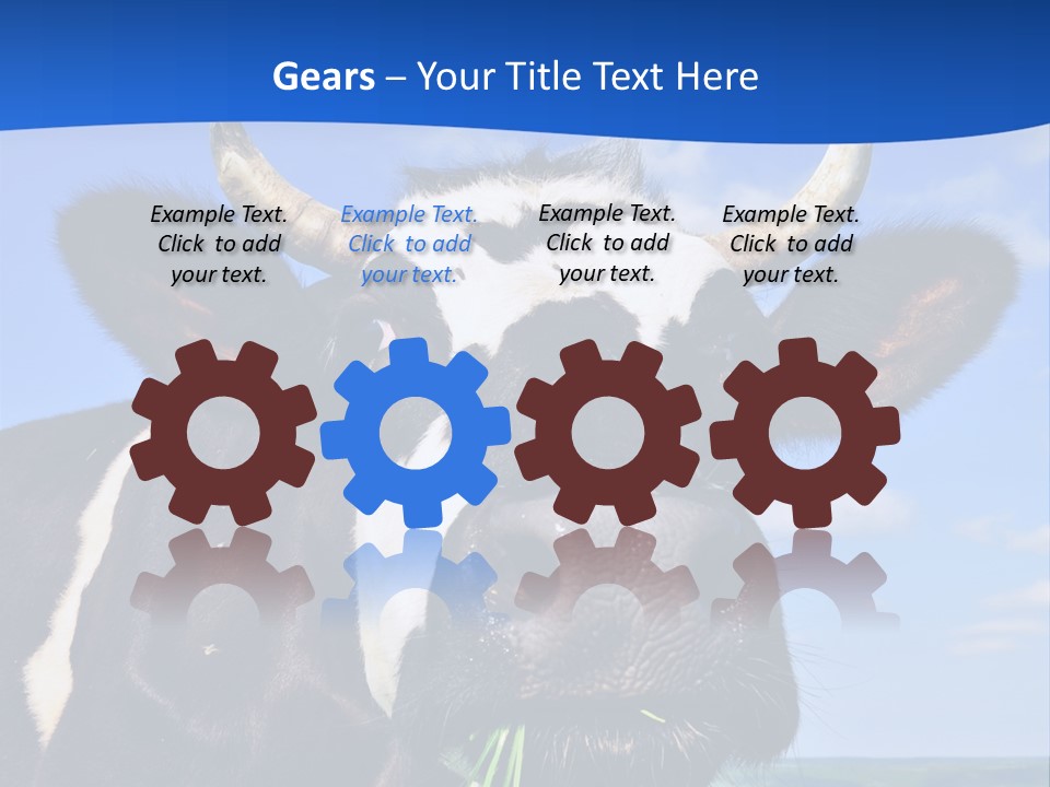 Sea Pensioner Woman PowerPoint Template