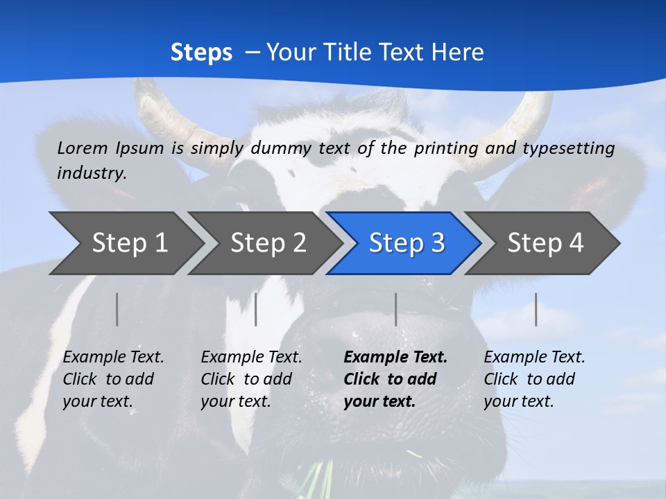 Sea Pensioner Woman PowerPoint Template