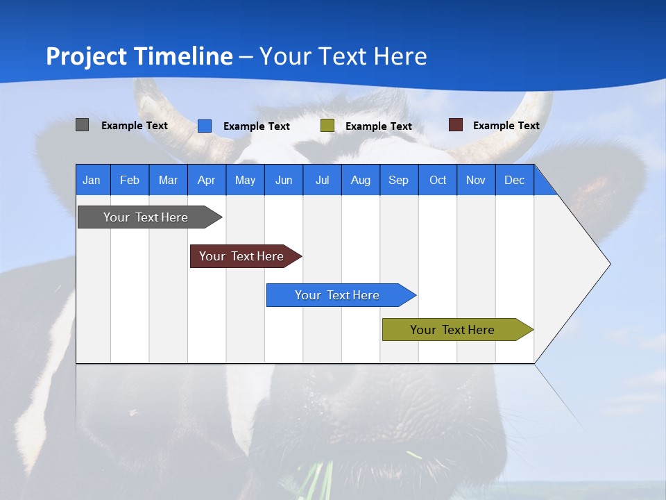 Sea Pensioner Woman PowerPoint Template