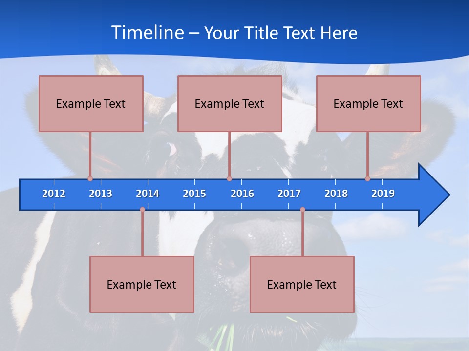 Sea Pensioner Woman PowerPoint Template