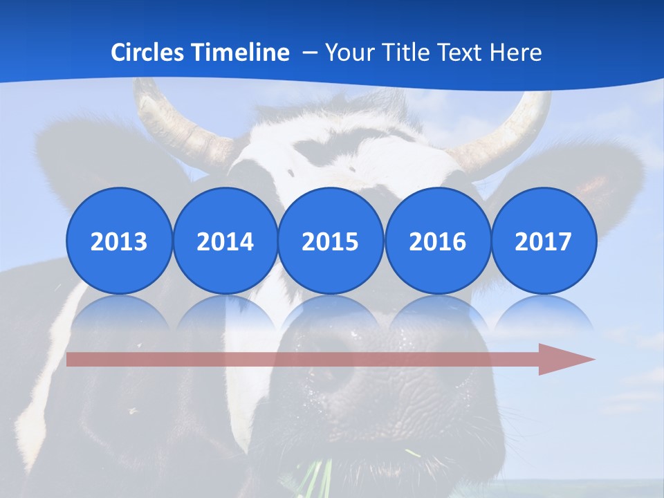 Sea Pensioner Woman PowerPoint Template