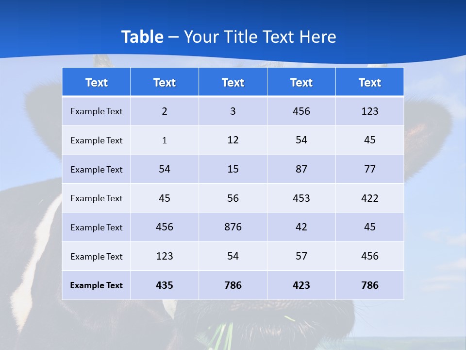 Sea Pensioner Woman PowerPoint Template