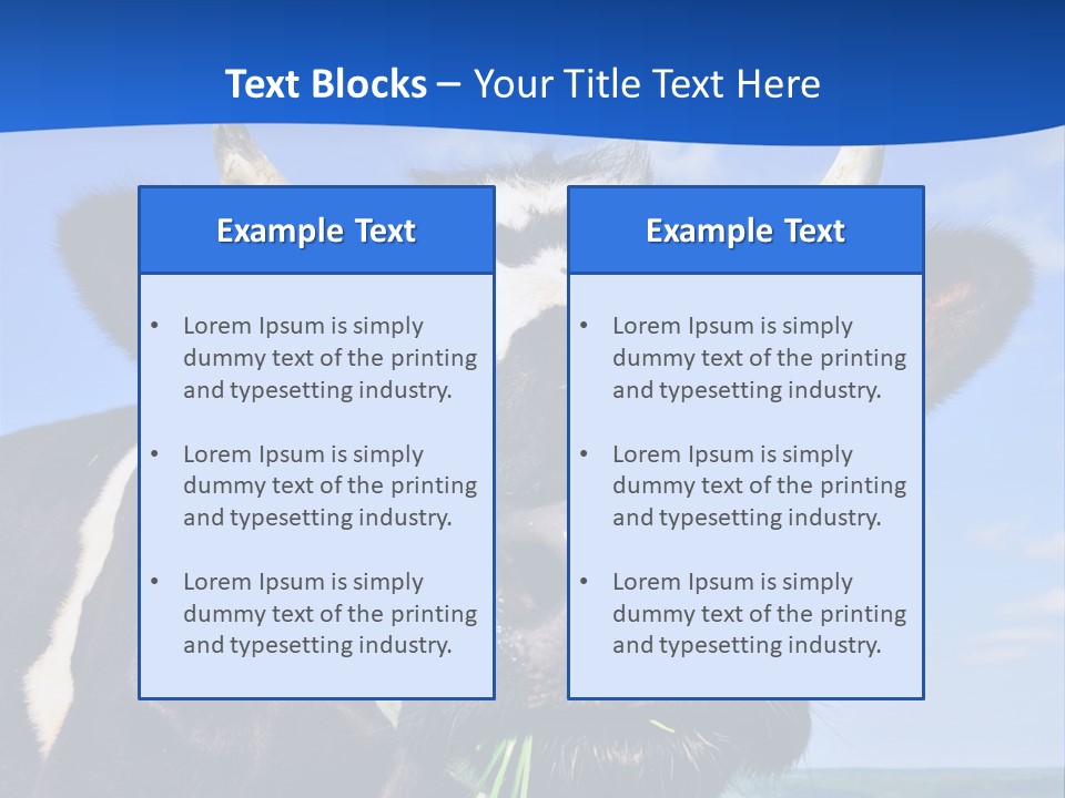 Sea Pensioner Woman PowerPoint Template