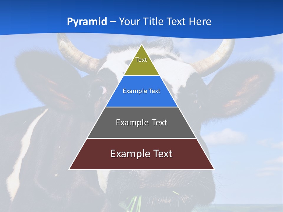 Sea Pensioner Woman PowerPoint Template