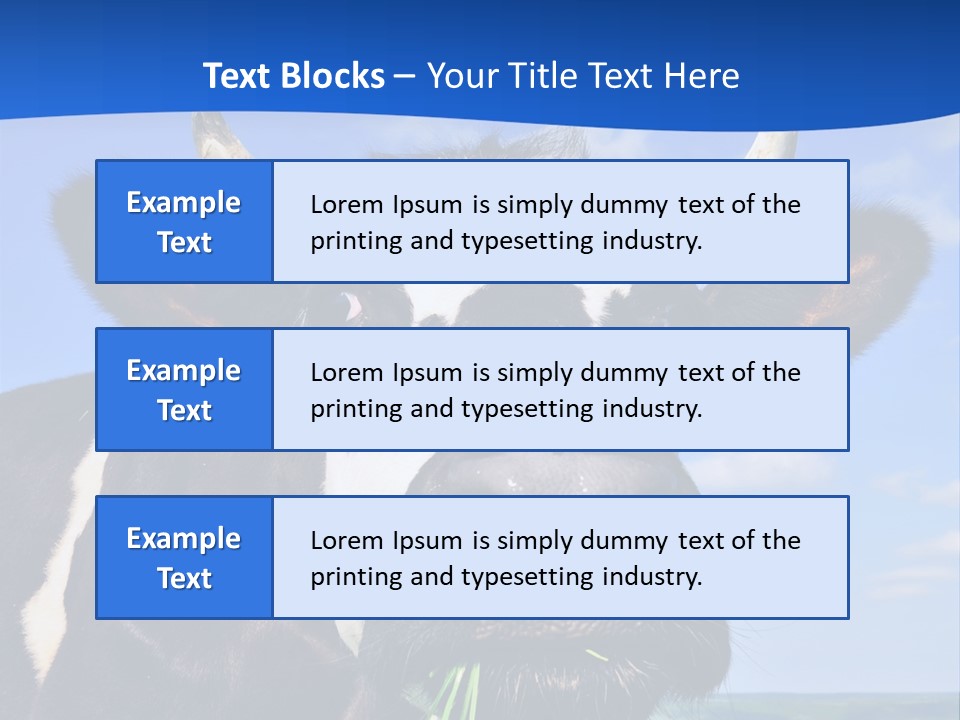 Sea Pensioner Woman PowerPoint Template