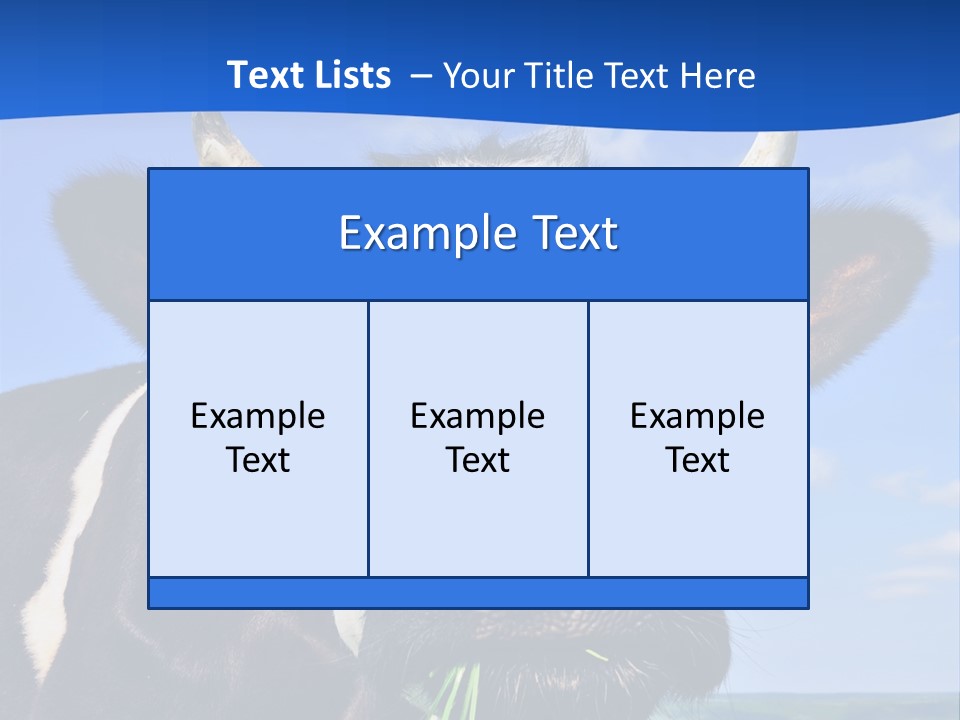 Sea Pensioner Woman PowerPoint Template