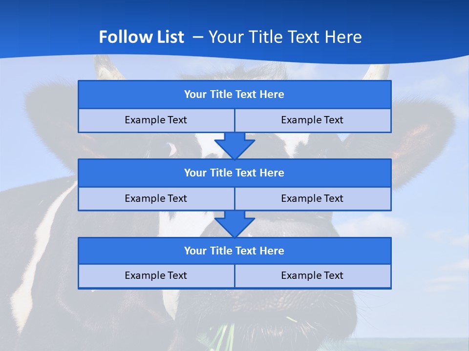 Sea Pensioner Woman PowerPoint Template