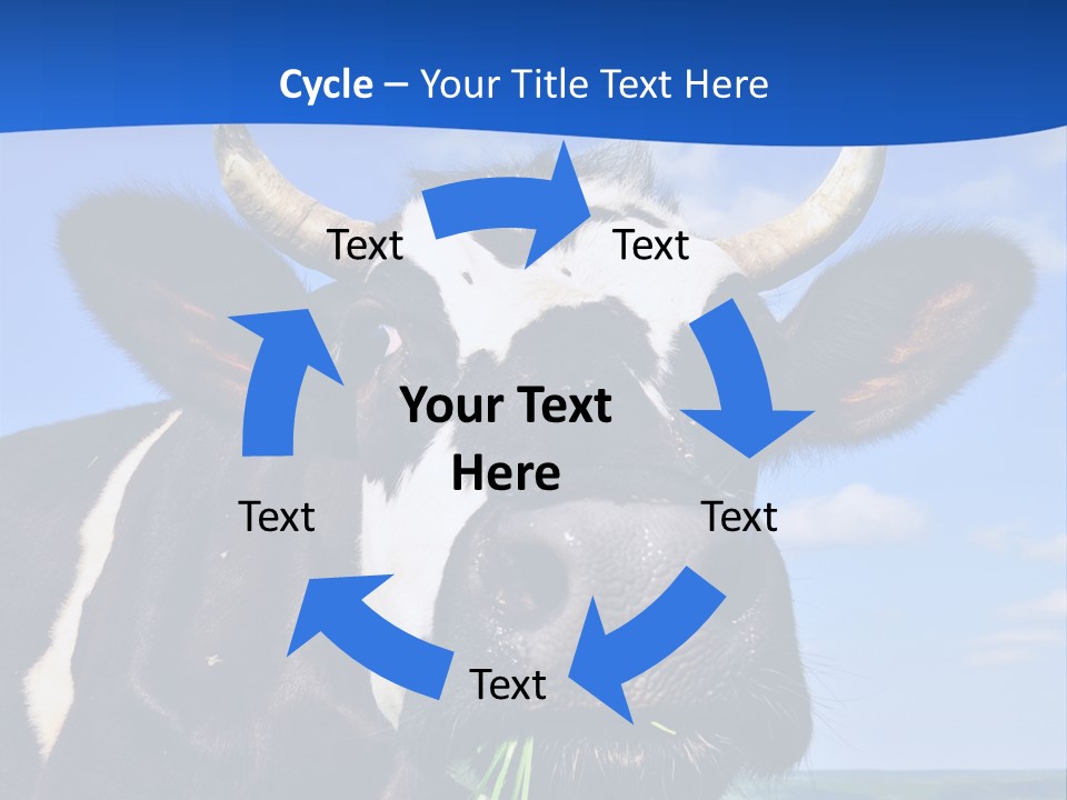 Sea Pensioner Woman PowerPoint Template