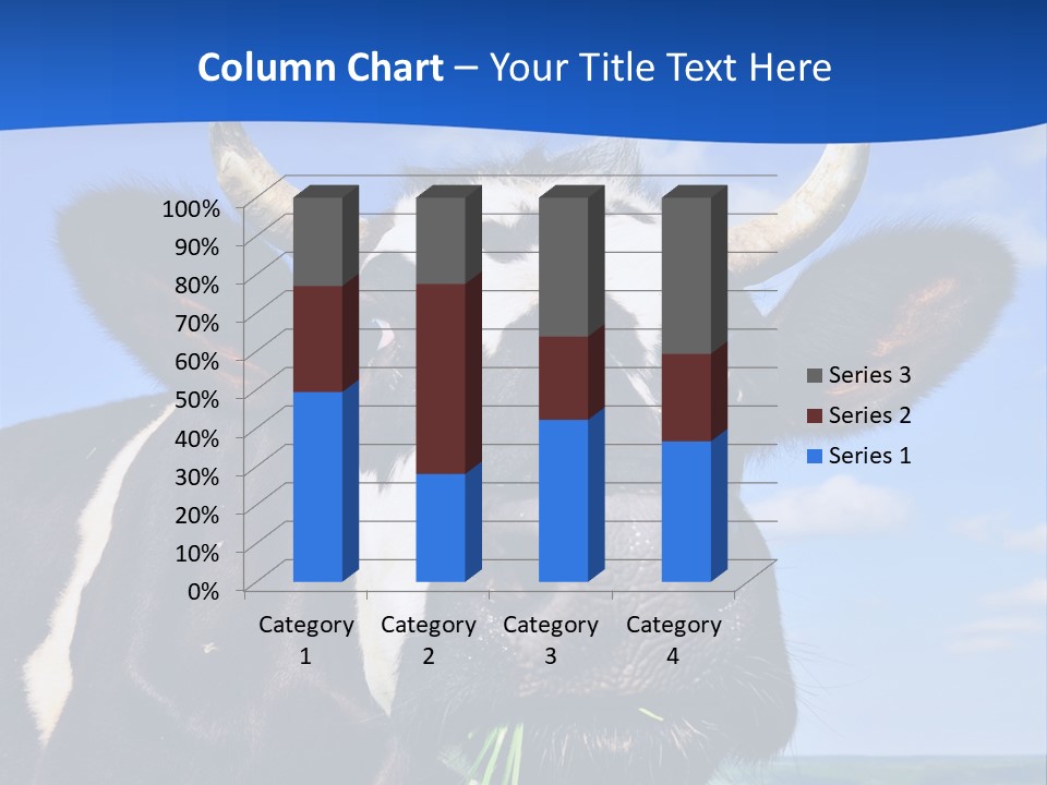 Sea Pensioner Woman PowerPoint Template