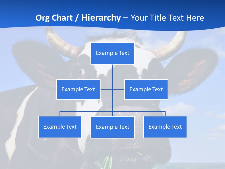 Sea Pensioner Woman PowerPoint Template