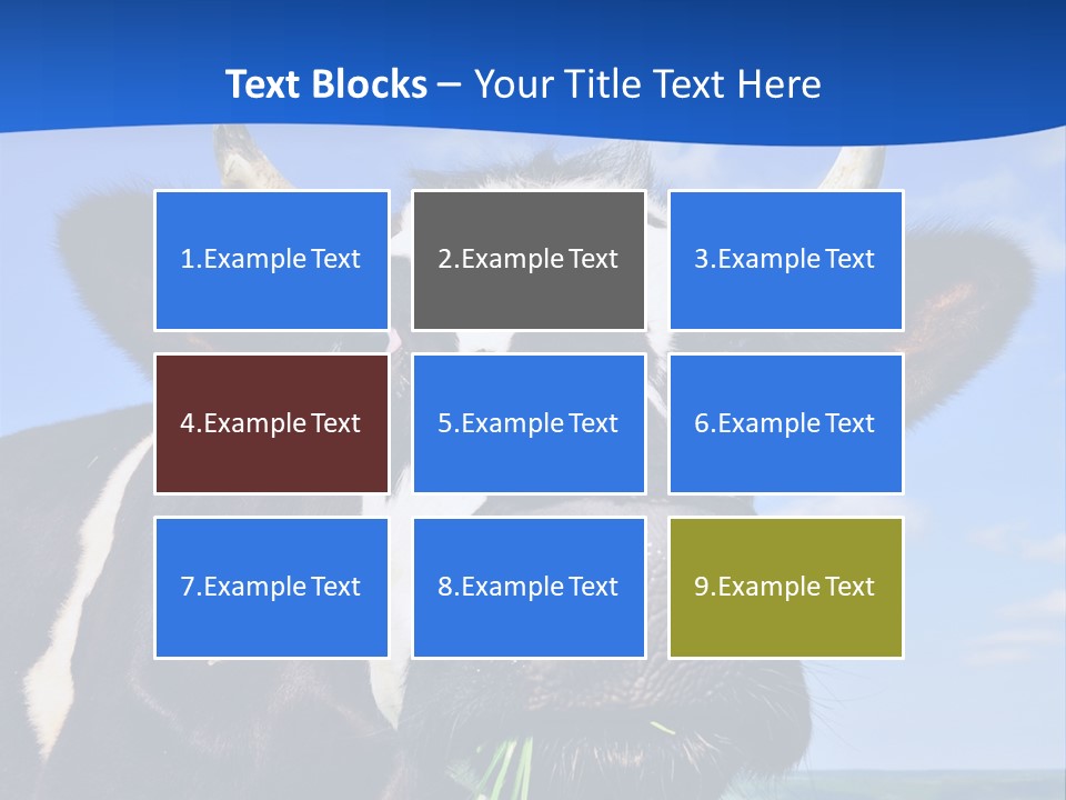 Sea Pensioner Woman PowerPoint Template