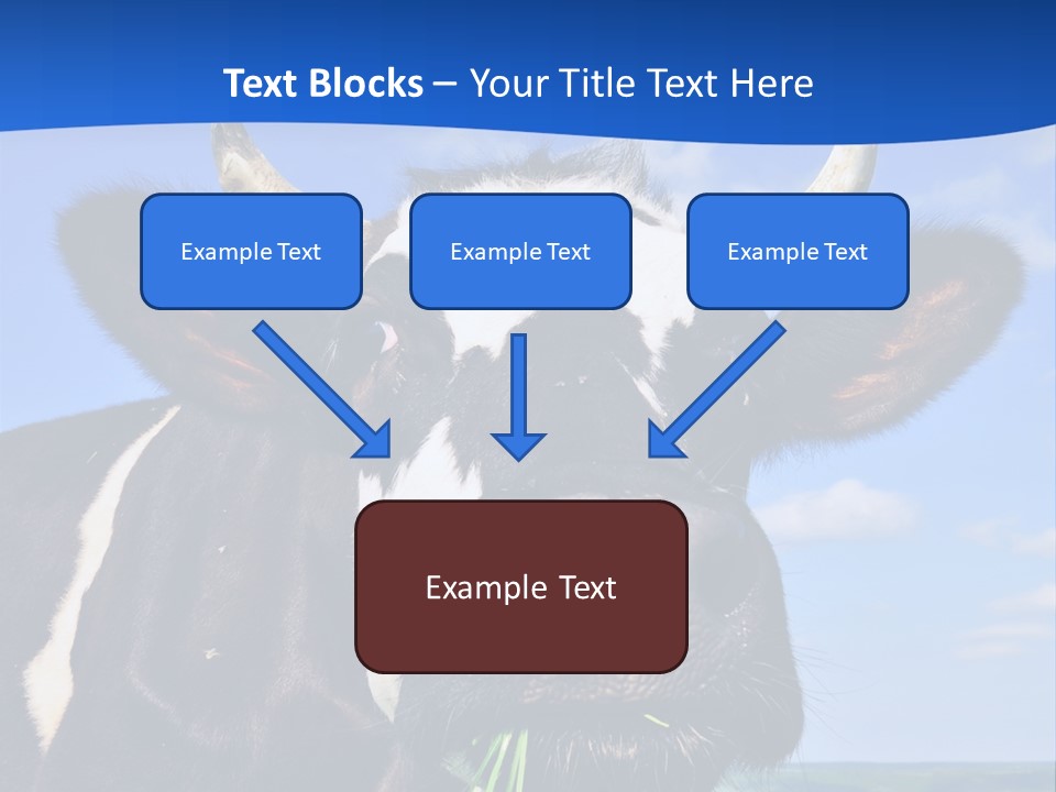 Sea Pensioner Woman PowerPoint Template