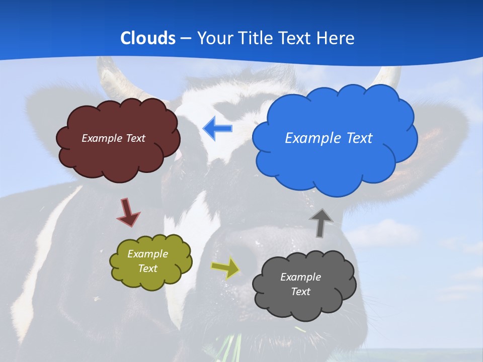 Sea Pensioner Woman PowerPoint Template
