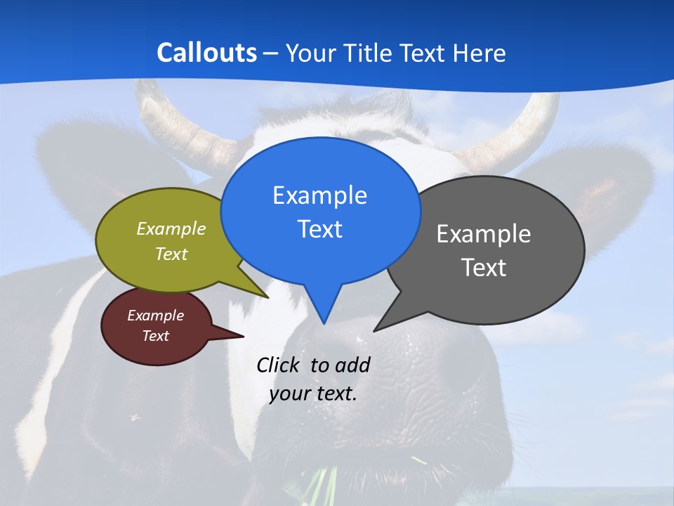 Sea Pensioner Woman PowerPoint Template