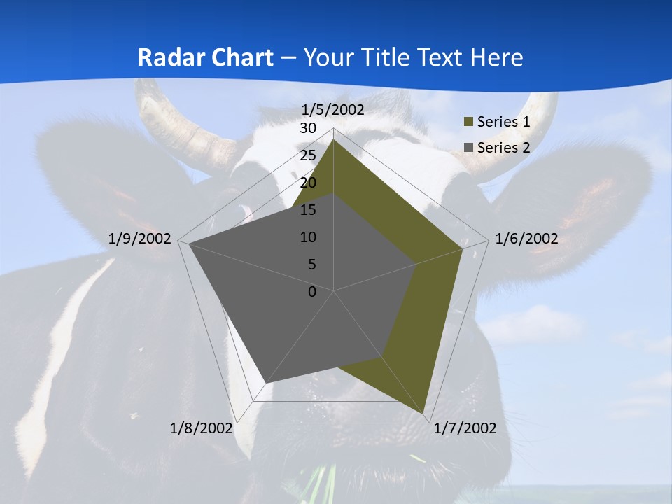 Sea Pensioner Woman PowerPoint Template