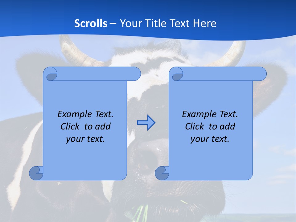 Sea Pensioner Woman PowerPoint Template