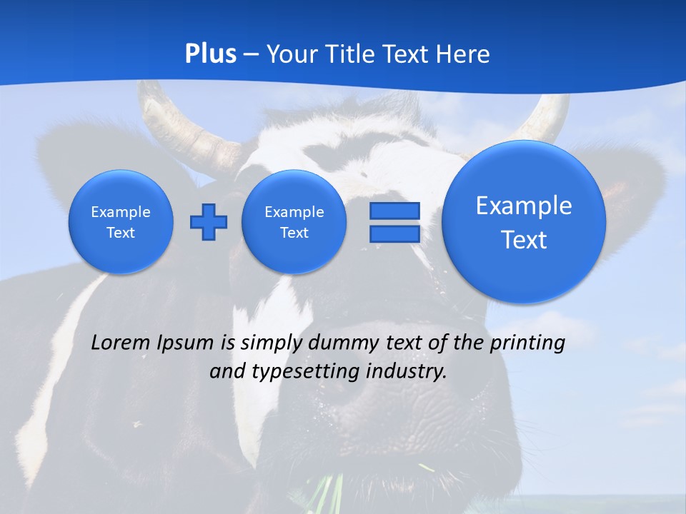 Sea Pensioner Woman PowerPoint Template