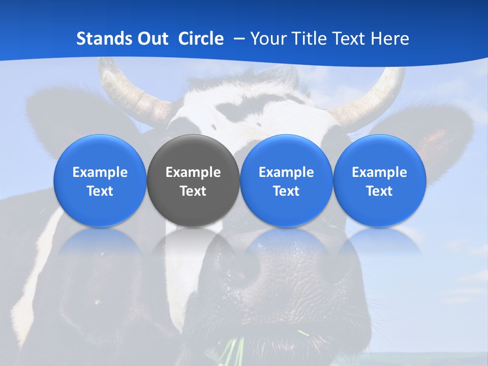 Sea Pensioner Woman PowerPoint Template