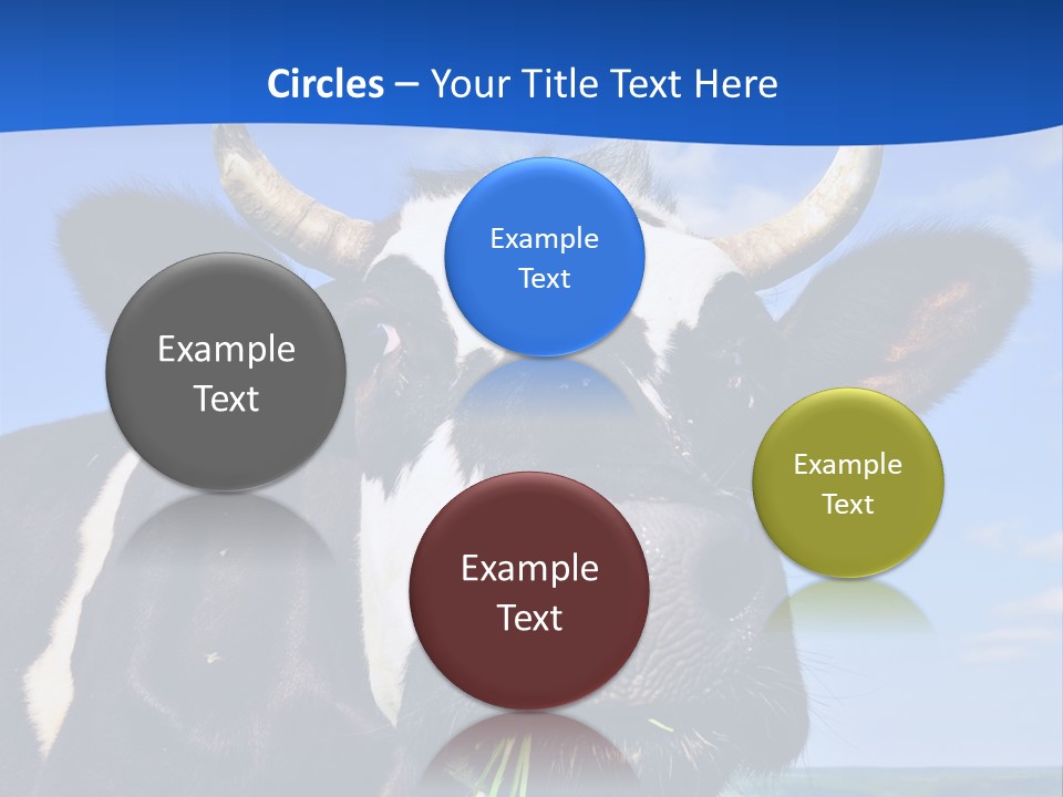 Sea Pensioner Woman PowerPoint Template