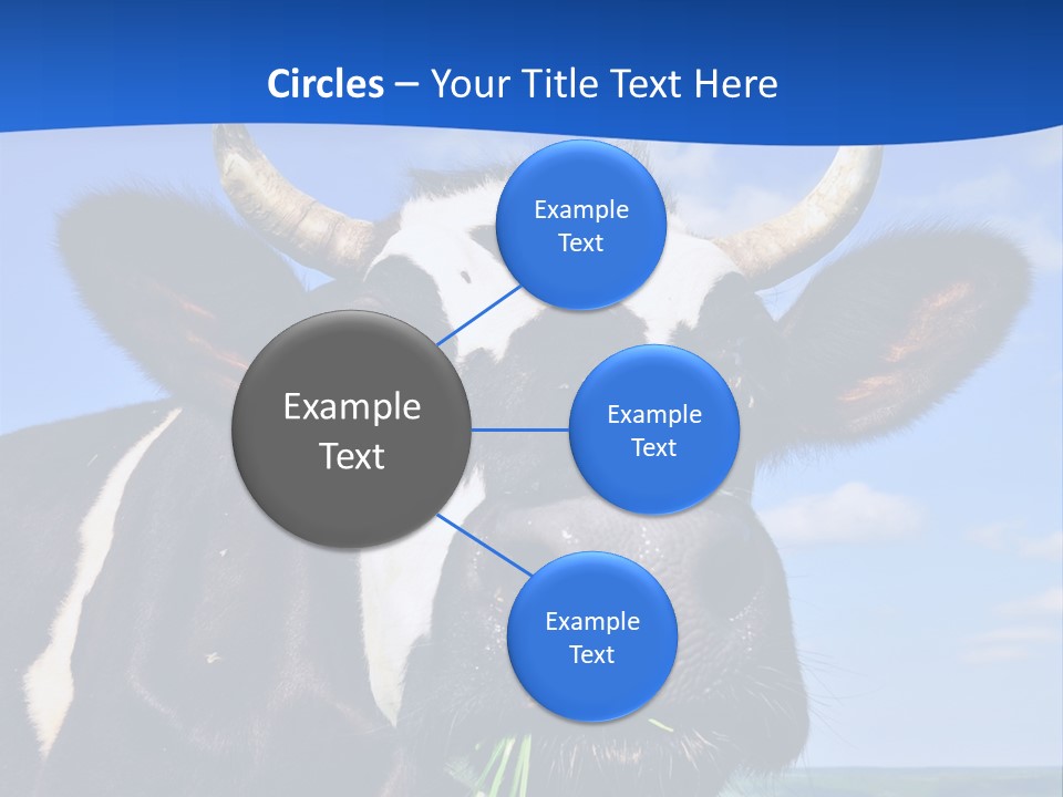 Sea Pensioner Woman PowerPoint Template