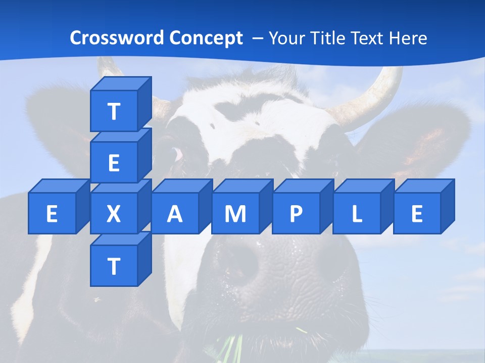 Sea Pensioner Woman PowerPoint Template