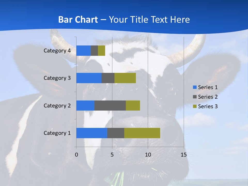 Sea Pensioner Woman PowerPoint Template