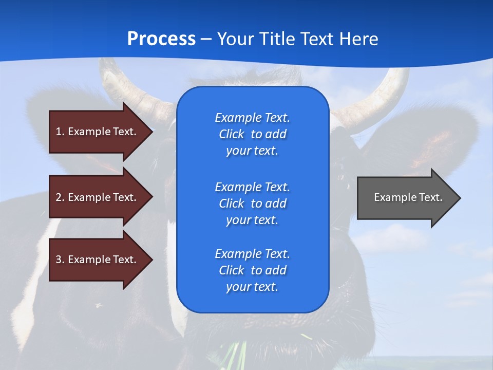 Sea Pensioner Woman PowerPoint Template
